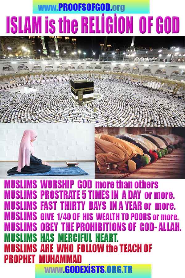 proofs of god, evidences of god, god-proofs, god-signs, god-evidences, god exists, god-real, god is real, 神の証明、神の証拠、神の兆候、神の証明、神の証拠、神は実在する、神は存在する 