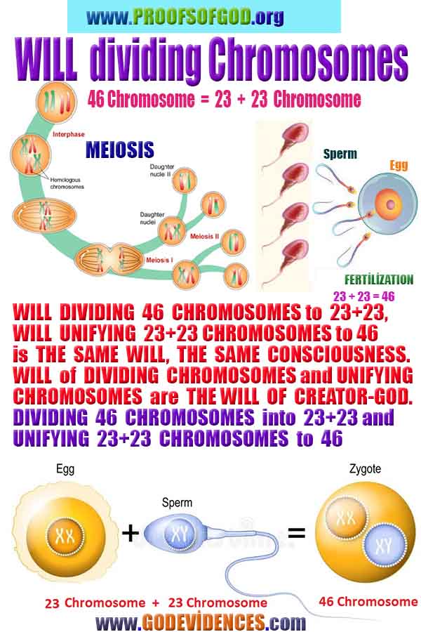 proofs of god, evidences of god, god-proofs, god-signs, god-evidences, god exists, god-real, god is real,god-exists, #god, #godreal, #godexists, #godproofs, bukti-bukti tuhan, bukti-bukti tuhan, tanda-tanda tuhan, bukti-tuhan, bukti-tuhan, tuhan itu nyata, tuhan itu ada, @tuhan, #tuhan