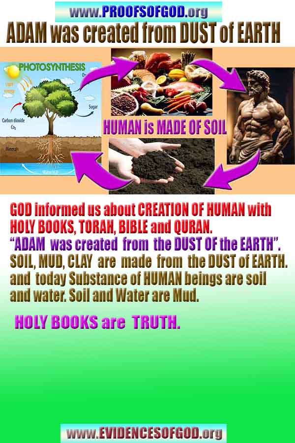 proofs of god, evidences of god, god-proofs, god-signs, god-evidences, god exists, god-real, god is real, 神の証明、神の証拠、神の兆候、神の証明、神の証拠、神は実在する、神は存在する 