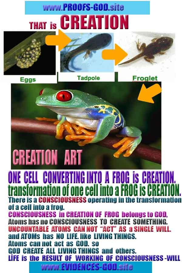 proofs of god, evidences of god, god-proofs, god-signs, god-evidences, god exists, god-real, god is real, 上帝的證明，上帝的證據，上帝的跡象，上帝的證據，上帝的證據，上帝是真實的，上帝存在 