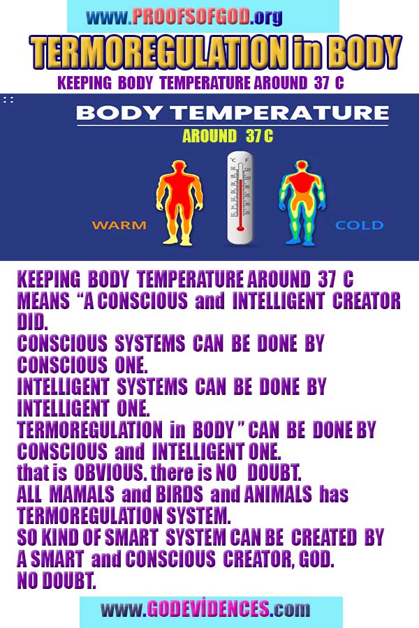 proofs of god, evidences of god, god-proofs, god-signs, god-evidences, god exists, god-real, god is real, preuves de dieu, preuves de dieu, signes de dieu, preuves-dieu, preuves-dieu, dieu est réel, dieu existe 