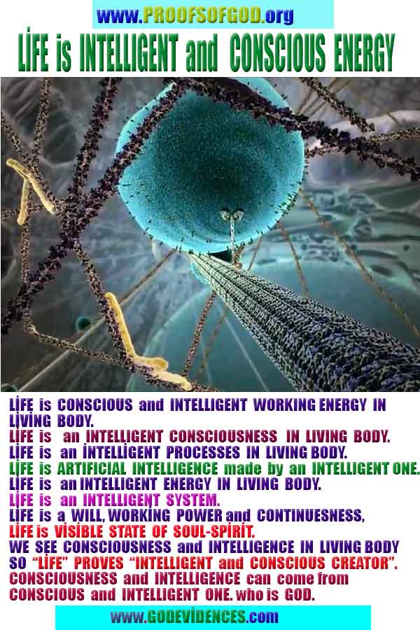 proofs of god, evidences of god, god-proofs, god-signs, god-evidences, god exists, god-real, god is real, 神の証明、神の証拠、神の兆候、神の証明、神の証拠、神は実在する、神は存在する 