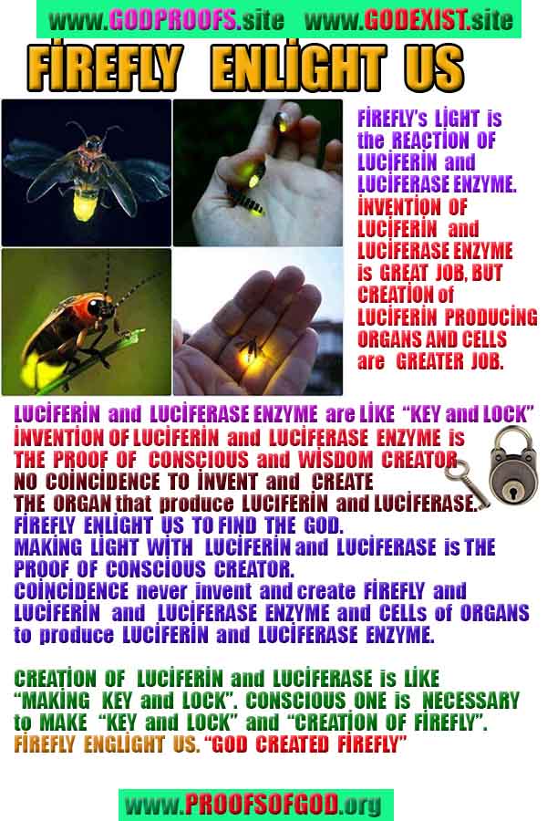 proofs of god, evidences of god, god-proofs, god-signs, god-evidences, god exists, god-real, god is real, pruebas de dios, evidencias de dios, signos de dios, pruebas-dios, evidencias-dios, dios es real, dios existe 