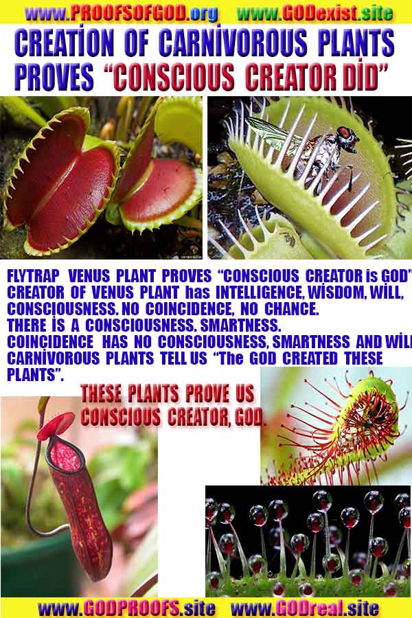 proofs of god, evidences of god, god-proofs, god-signs, god-evidences, god exists, god-real, god is real, 上帝的證明，上帝的證據，上帝的跡象，上帝的證據，上帝的證據，上帝是真實的，上帝存在 