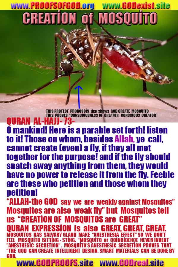 proofs of god, evidences of god, god-proofs, god-signs, god-evidences, god exists, god-real, god is real,god-exists, #god, #godreal, #godexists, #godproofs, bukti-bukti tuhan, bukti-bukti tuhan, tanda-tanda tuhan, bukti-tuhan, bukti-tuhan, tuhan itu nyata, tuhan itu ada, @tuhan, #tuhan