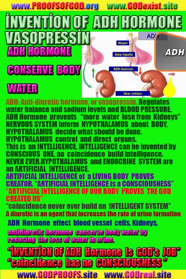 proofs of god, evidences of god, god-proofs, god-signs, god-evidences, god exists, god-real, god is real, preuves de dieu, preuves de dieu, signes de dieu, preuves-dieu, preuves-dieu, dieu est réel, dieu existe 