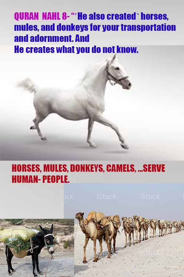 proofs of god, evidences of god, god-proofs, god-signs, god-evidences, god exists, god-real, god is real,براهين الله، أدلة الله، علامات الله، براهين الله، أدلة الله، الله حقيقي، الله موجود 