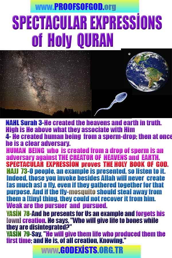 proofs of god, evidences of god, god-proofs, god-signs, god-evidences, god exists, god-real, god is real,ईश्वर के प्रमाण, ईश्वर के प्रमाण, ईश्वर के लक्षण, प्रमाण-ईश्वर, प्रमाण-ईश्वर, ईश्वर वास्तविक है, ईश्वर का अस्तित्व है, @भगवान, #भगवान 