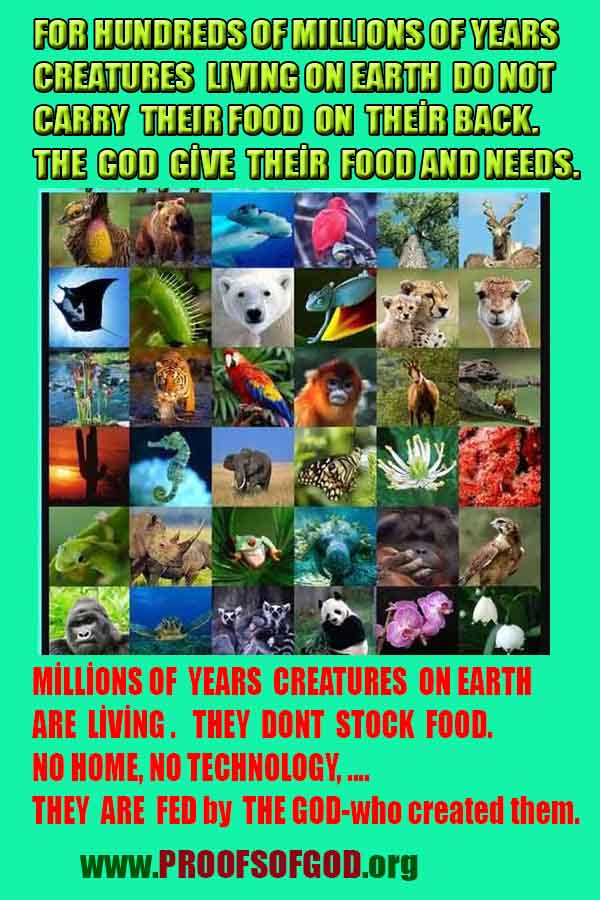 proofs of god, evidences of god, god-proofs, god-signs, god-evidences, god exists, god-real, god is real,براهين الله، أدلة الله، علامات الله، براهين الله، أدلة الله، الله حقيقي، الله موجود 