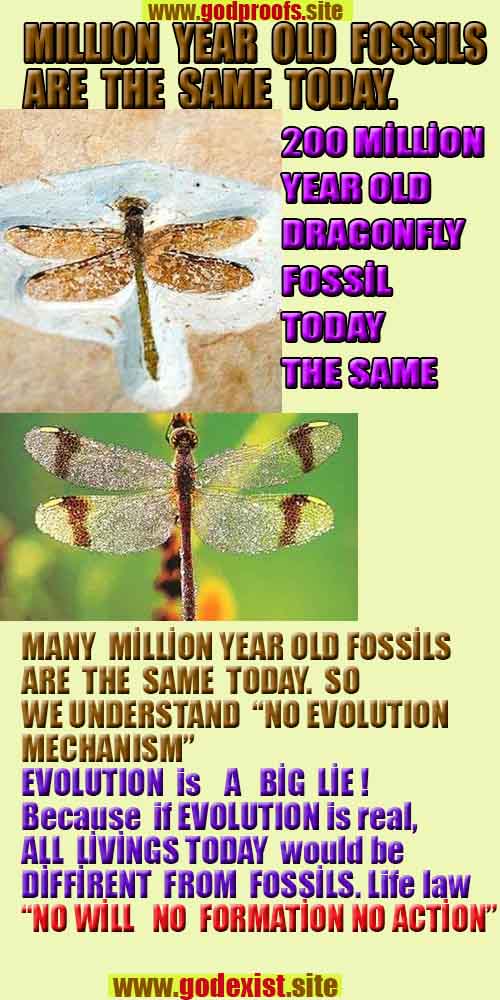 proofs of god, evidences of god, god-proofs, god-signs, god-evidences, god exists, god-real, god is real,ईश्वर के प्रमाण, ईश्वर के प्रमाण, ईश्वर के लक्षण, प्रमाण-ईश्वर, प्रमाण-ईश्वर, ईश्वर वास्तविक है, ईश्वर का अस्तित्व है, @भगवान, #भगवान 