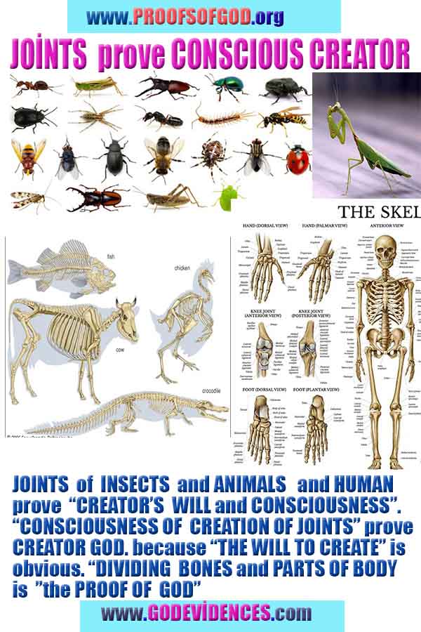 proofs of god, evidences of god, god-proofs, god-signs, god-evidences, god exists, god-real, god is real, pruebas de dios, evidencias de dios, signos de dios, pruebas-dios, evidencias-dios, dios es real, dios existe 