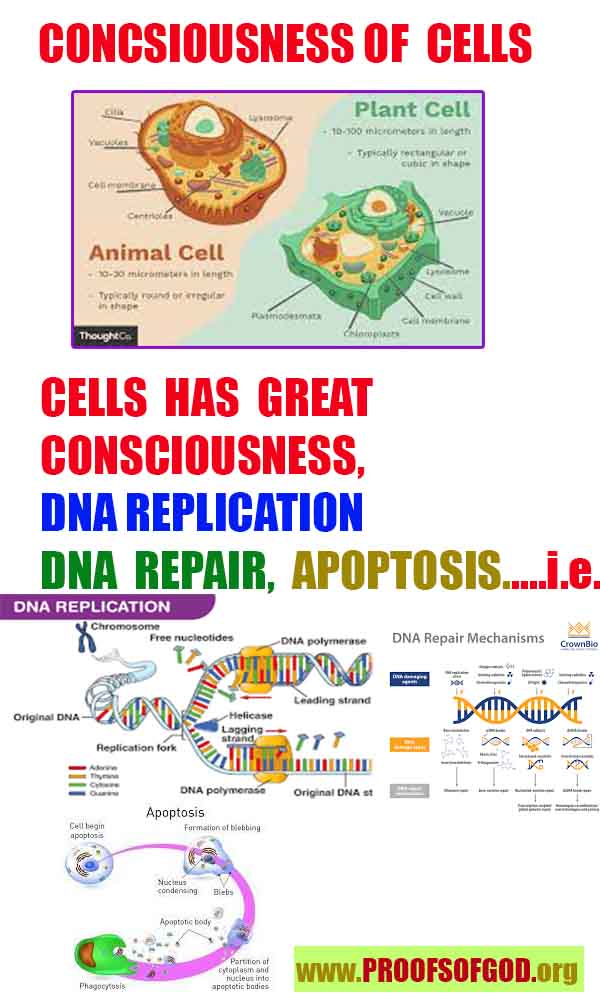 proofs of god, evidences of god, god-proofs, god-signs, god-evidences, god exists, god-real, god is real, 上帝的證明，上帝的證據，上帝的跡象，上帝的證據，上帝的證據，上帝是真實的，上帝存在 