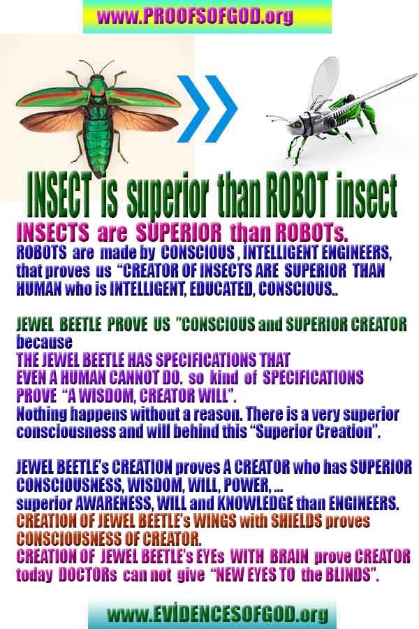 proofs of god, evidences of god, god-proofs, god-signs, god-evidences, god exists, god-real, god is real, 上帝的證明，上帝的證據，上帝的跡象，上帝的證據，上帝的證據，上帝是真實的，上帝存在 