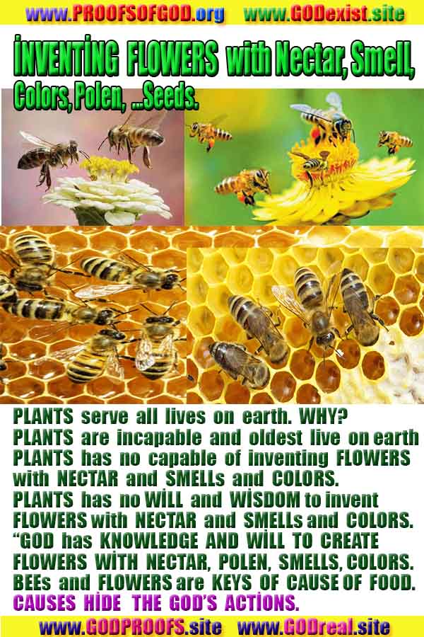 proofs of god, evidences of god, god-proofs, god-signs, god-evidences, god exists, god-real, god is real,ईश्वर के प्रमाण, ईश्वर के प्रमाण, ईश्वर के लक्षण, प्रमाण-ईश्वर, प्रमाण-ईश्वर, ईश्वर वास्तविक है, ईश्वर का अस्तित्व है, @भगवान, #भगवान 