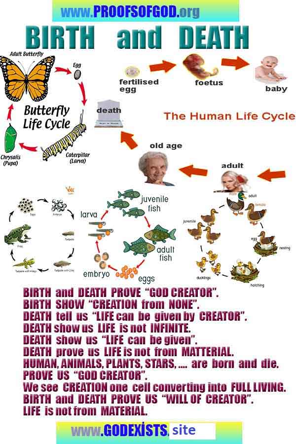 proofs of god, evidences of god, god-proofs, god-signs, god-evidences, god exists, god-real, god is real,god-exists, #god, #godreal, #godexists, #godproofs, bukti-bukti tuhan, bukti-bukti tuhan, tanda-tanda tuhan, bukti-tuhan, bukti-tuhan, tuhan itu nyata, tuhan itu ada, @tuhan, #tuhan